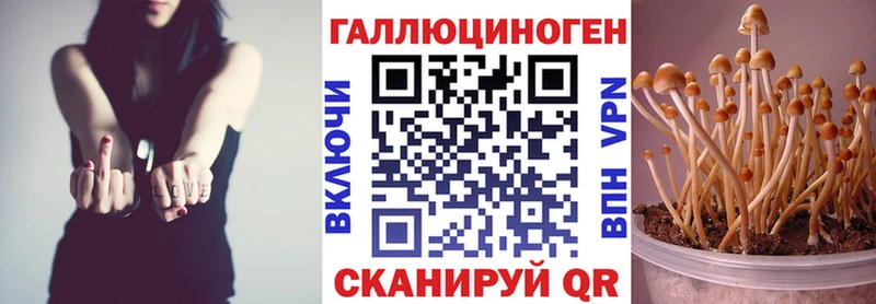 Галлюциногенные грибы прущие грибы  Льгов 